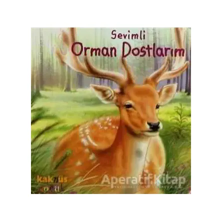 Sevimli Orman Dostlarım - Kolektif - Kaknüs Yayınları
