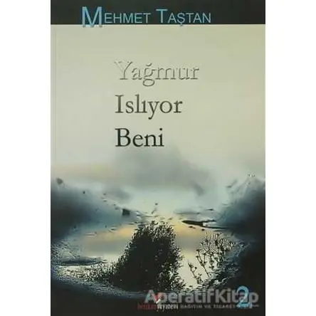 Yağmur Islıyor Beni - Mehmet Taştan - Berikan Yayınevi