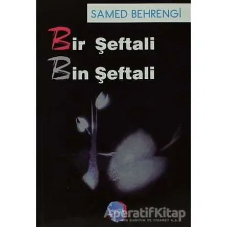 Bir Şeftali Bin Şeftali - Samed Behrengi - Berikan Yayınları