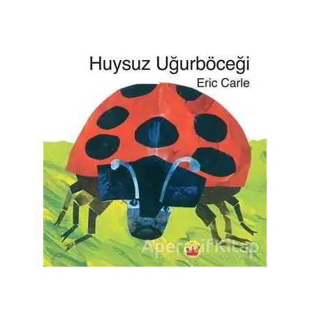 Huysuz Uğurböceği - Eric Carle - Kuraldışı Yayınevi