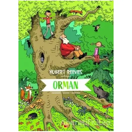 Hubert Reeves Anlatıyor - Orman - Nelly Boutinot - Kuraldışı Yayınevi