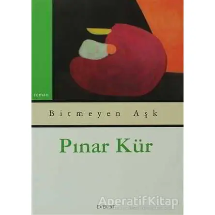 Bitmeyen Aşk - Pınar Kür - Everest Yayınları