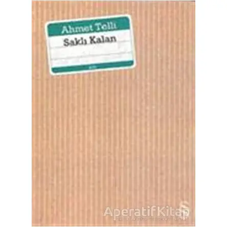 Saklı Kalan - Ahmet Telli - Everest Yayınları