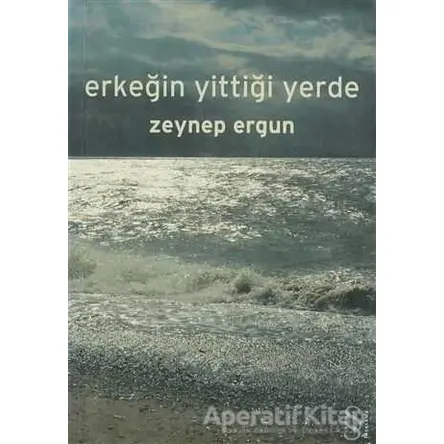 Erkeğin Yittiği Yerde - Zeynep Ergun - Everest Yayınları