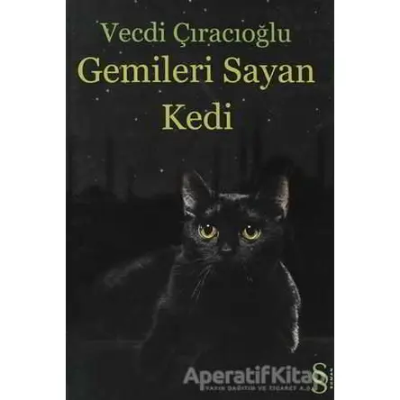 Gemileri Sayan Kedi - Vecdi Çıracıoğlu - Everest Yayınları