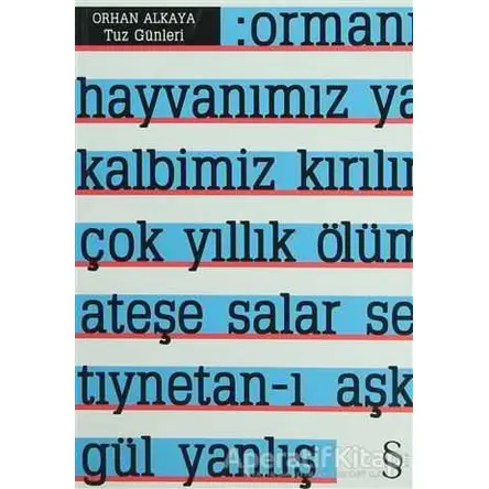 Tuz Günleri - Orhan Alkaya - Everest Yayınları