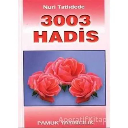 3003 Hadis (Hadis-002) - Nuri Tatlıdere - Pamuk Yayıncılık