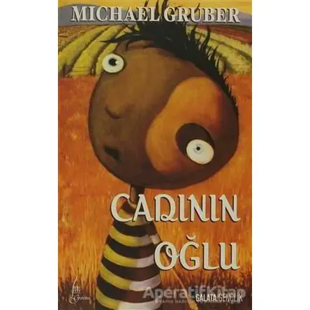 Cadının Oğlu - Michael Gruber - Galata Yayıncılık