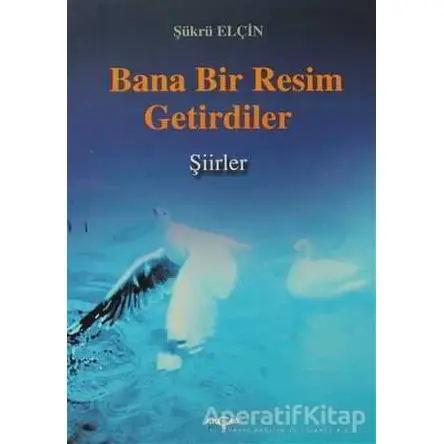 Bana Bir Resim Getirdiler - Şükrü Elçin - Akçağ Yayınları