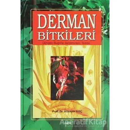 Derman Bitkileri Dünden Bugüne Beslenirken Tedavi - Hüseyin Koç - Akçağ Yayınları