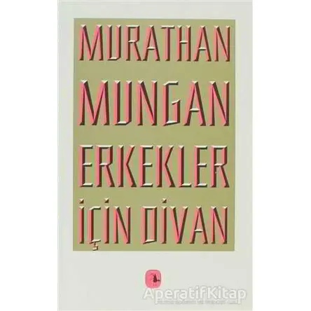 Erkekler İçin Divan - Murathan Mungan - Metis Yayınları