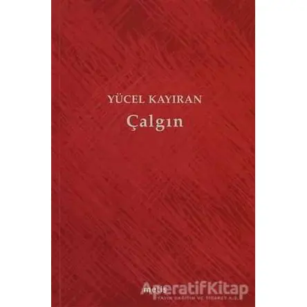 Çalgın - Yücel Kayıran - Metis Yayınları