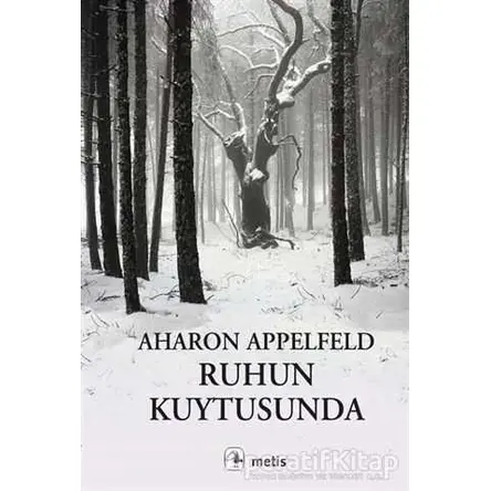 Ruhun Kuytusunda - Aharon Appelfeld - Metis Yayınları