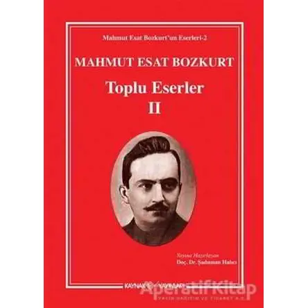 Mahmut Esat Bozkurt - Toplu Eserler 2 - Mahmut Esat Bozkurt - Kaynak Yayınları