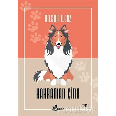 Kahraman Çino - Nilgün Ilgaz - Çınar Yayınları