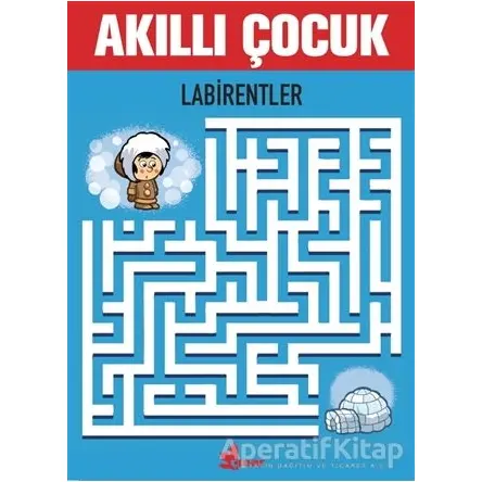 Labirentler - Akıllı Çocuk - Kolektif - Çınar Yayınları