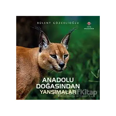 Anadolu Doğasından Yansımalar - Bülent Gözcelioğlu - TÜBİTAK Yayınları