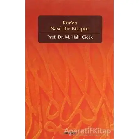 Kur’an Nasıl Bir Kitaptır - M. Halil Çiçek - Beyan Yayınları