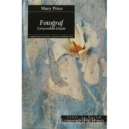 Fotoğraf: Çerçevedeki Gizem - Mary Price - Ayrıntı Yayınları
