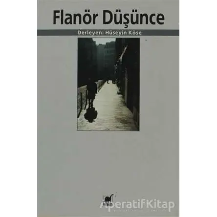 Flanör Düşünce - Hüseyin Köse - Ayrıntı Yayınları