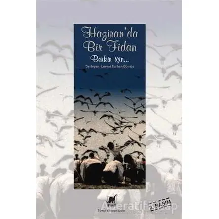 Haziranda Bir Fidan - Levent Turhan Gümüş - Ayrıntı Yayınları
