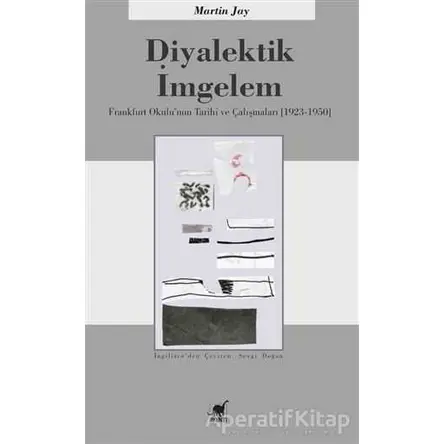 Diyalektik İmgelem - Martin Jay - Ayrıntı Yayınları