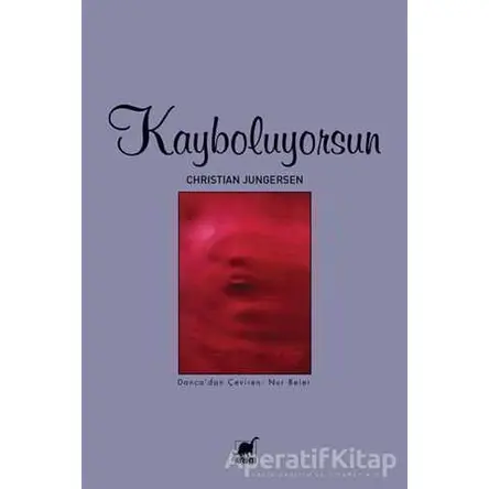 Kayboluyorsun - Christian Jungersen - Ayrıntı Yayınları