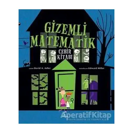 Gizemli Matematik - David A. Adler - Doruk Yayınları
