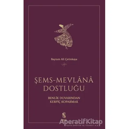 Şems - Mevlana Dostluğu Benlik Duvarından Kerpiç Koparmak - Bayram Ali Çetinkaya - İnsan Yayınları