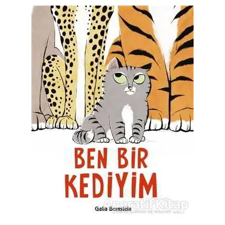 Ben Bir Kediyim - Galia Bernstein - Uçanbalık Yayıncılık