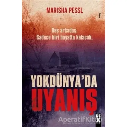 Yokdünyada Uyanış - Marisha Pessl - Dex Yayınevi