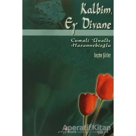 Kalbim, Ey Divane - Cemali Ünaldı Hasannebioğlu - Erguvan Yayınevi