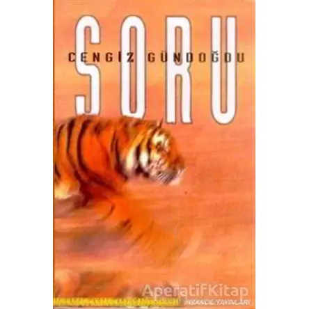 Soru - Cengiz Gündoğdu - İnsancıl Yayınları