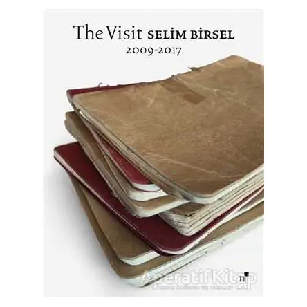 The Visit - Selim Birsel - Norgunk Yayıncılık