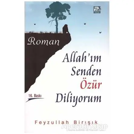 Allah’ım Senden Özür Diliyorum - Feyzullah Birışık - Karınca & Polen Yayınları
