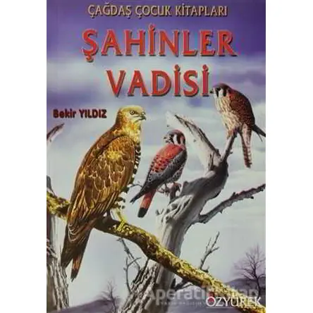 Şahinler Vadisi - Bekir Yıldız - Özyürek Yayınları
