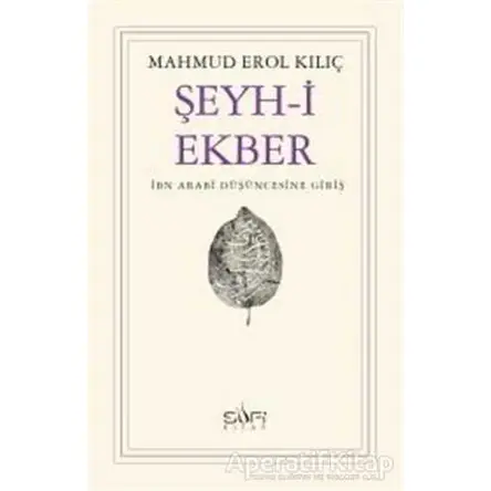 Şeyh-i Ekber İbn Arabi Düşüncesine Giriş - Mahmud Erol Kılıç - Sufi Kitap
