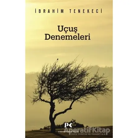 Uçuş Denemeleri - İbrahim Tenekeci - Profil Kitap