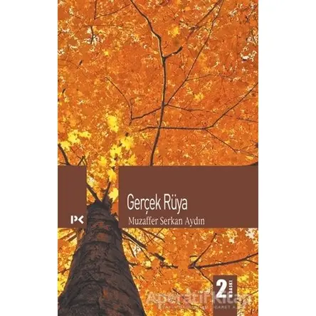 Gerçek Rüya - Muzaffer Serkan Aydın - Profil Kitap