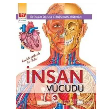 İnsan Vücudu - Kolektif - Beyaz Balina Yayınları