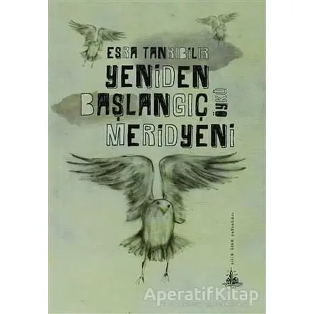 Yeniden Başlangıç Meridyeni - Esra Tanrıbilir - Yitik Ülke Yayınları