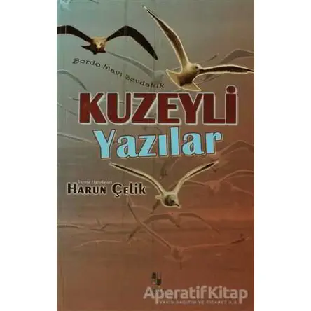 Kuzeyli Yazılar - Harun Çelik - Anonim Yayıncılık