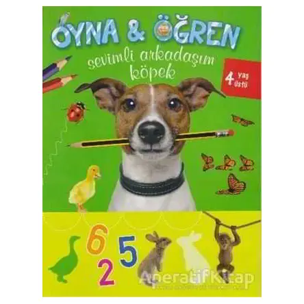 Sevimli Arkadaşım Köpek - Kolektif - Parıltı Yayınları