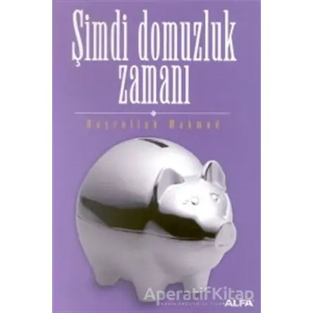 Şimdi Domuzluk Zamanı - Hayrullah Mahmud - Alfa Yayınları