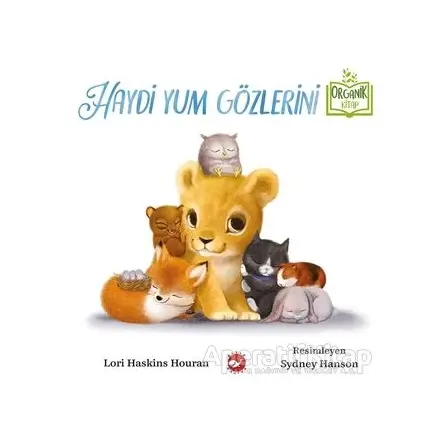 Haydi Yum Gözlerini - Lori Haskins Houran - Beyaz Balina Yayınları