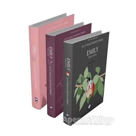 Rüzgarın Kızı Emily Serisi - Lucy Maud Montgomery - Cem Yayınevi