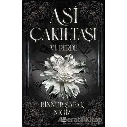 Asi Çakıltaşı 6. Perde - Binnur Şafak Nigiz - Dokuz Yayınları