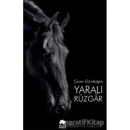 Yaralı Rüzgar - Ceren Gündoğan - Eksik Parça Yayınları