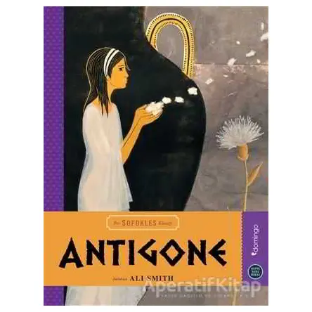 Antigone - Ali Smith - Domingo Yayınevi