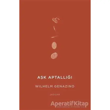 Aşk Aptallığı - Wilhelm Genazino - Jaguar Kitap